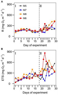 Plankton Community Respiration and ETS Activity Under Variable CO2 and Nutrient Fertilization During a Mesocosm Study in the Subtropical North Atlantic